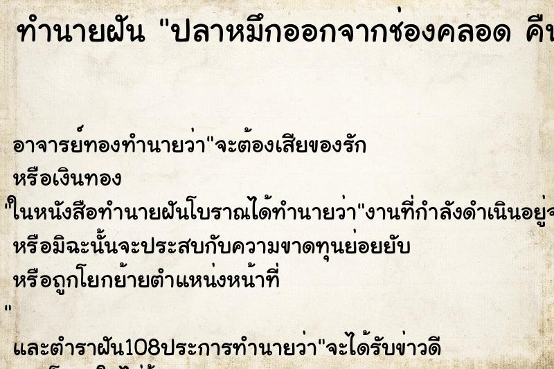 ทำนายฝัน ปลาหมึกออกจากช่องคลอด คืนอาทิตย์